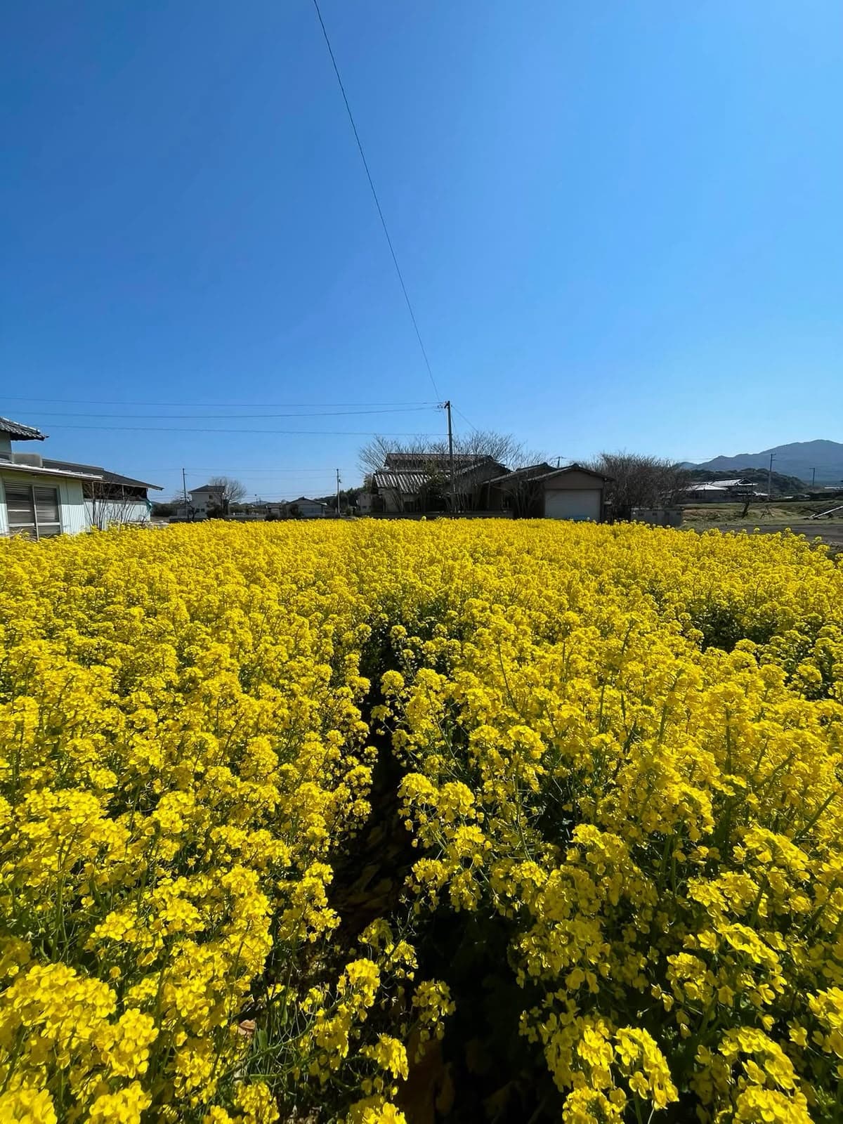 A farm that turns with the seasons