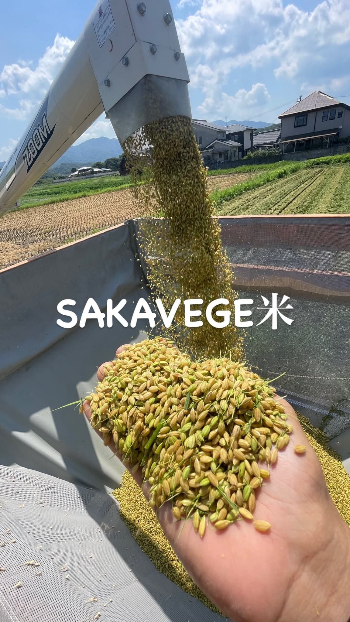 玄米 5kg